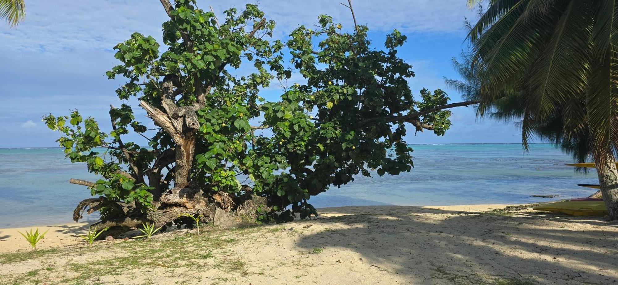 Villa Anahere Haapiti Exterior foto